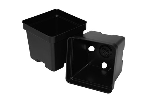 SVT 450 Black 375/case - Square Pots
